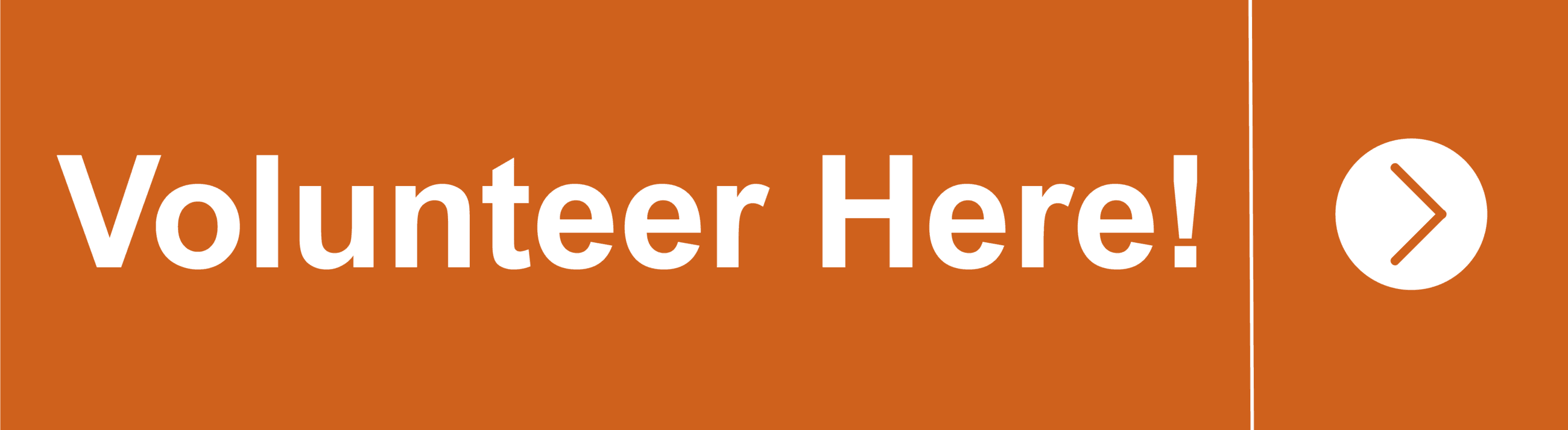 Volunteer Website Button