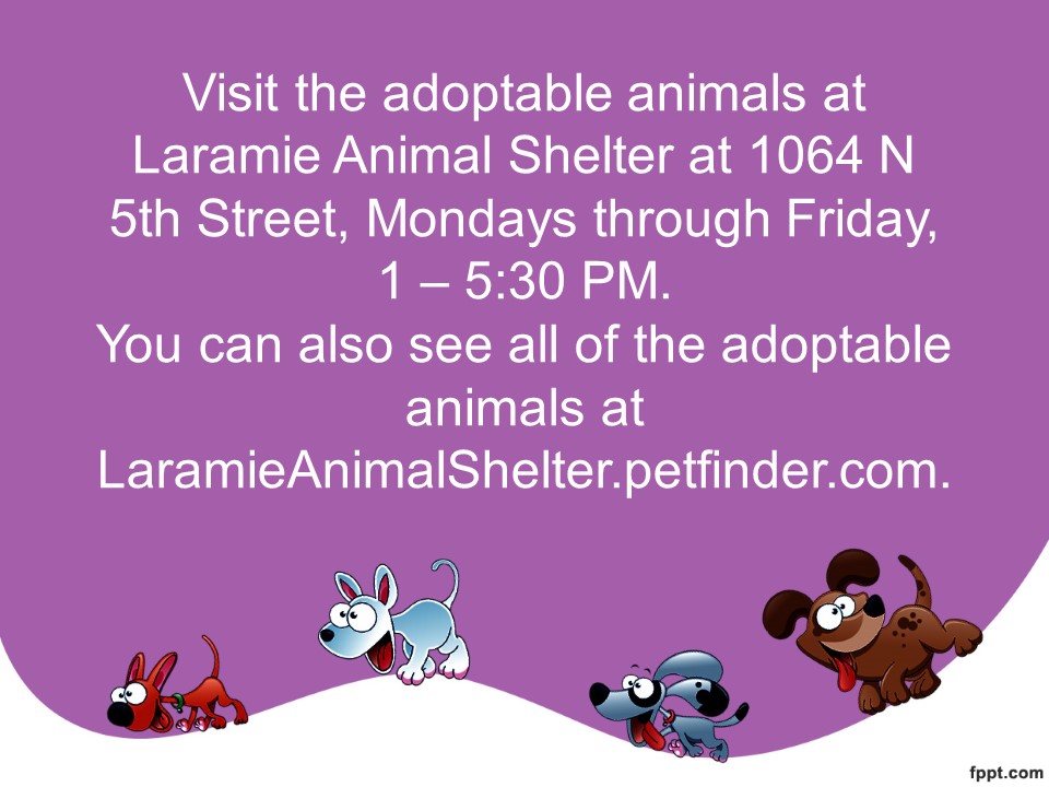 AnimalShelter